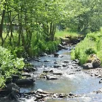 Charming Mill In Gedinne * Вансимон