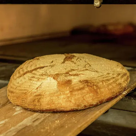 Charming Mill In Gedinne Hébergement de vacances *