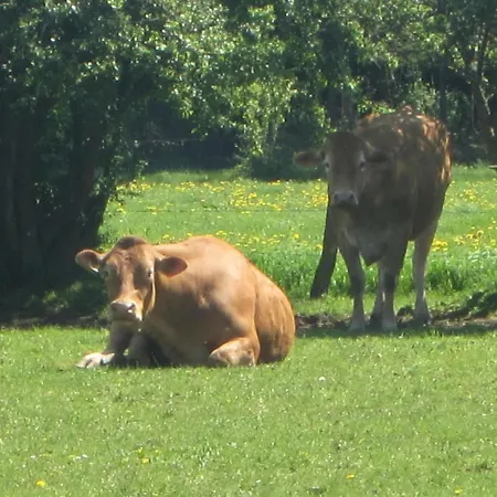 Hébergement de vacances Charming Mill In Gedinne Vencimont