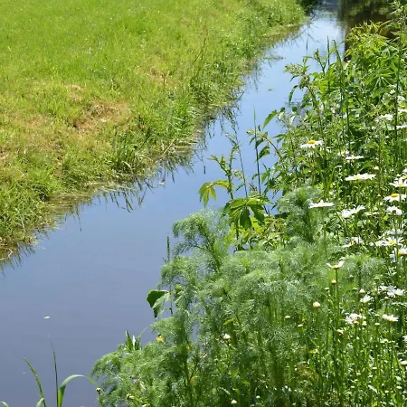 Charming Mill In Gedinne Ferienhaus Vencimont